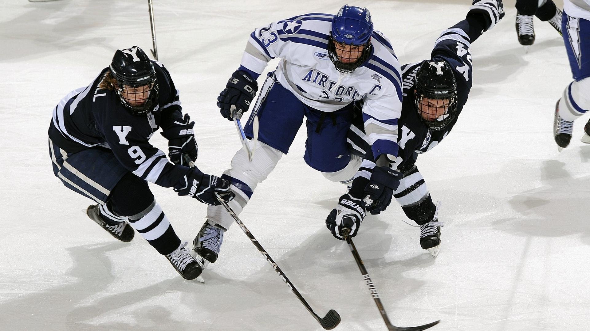 _鹈鹕再创新高，队员齐头并进_，鹈鹕队百度百科