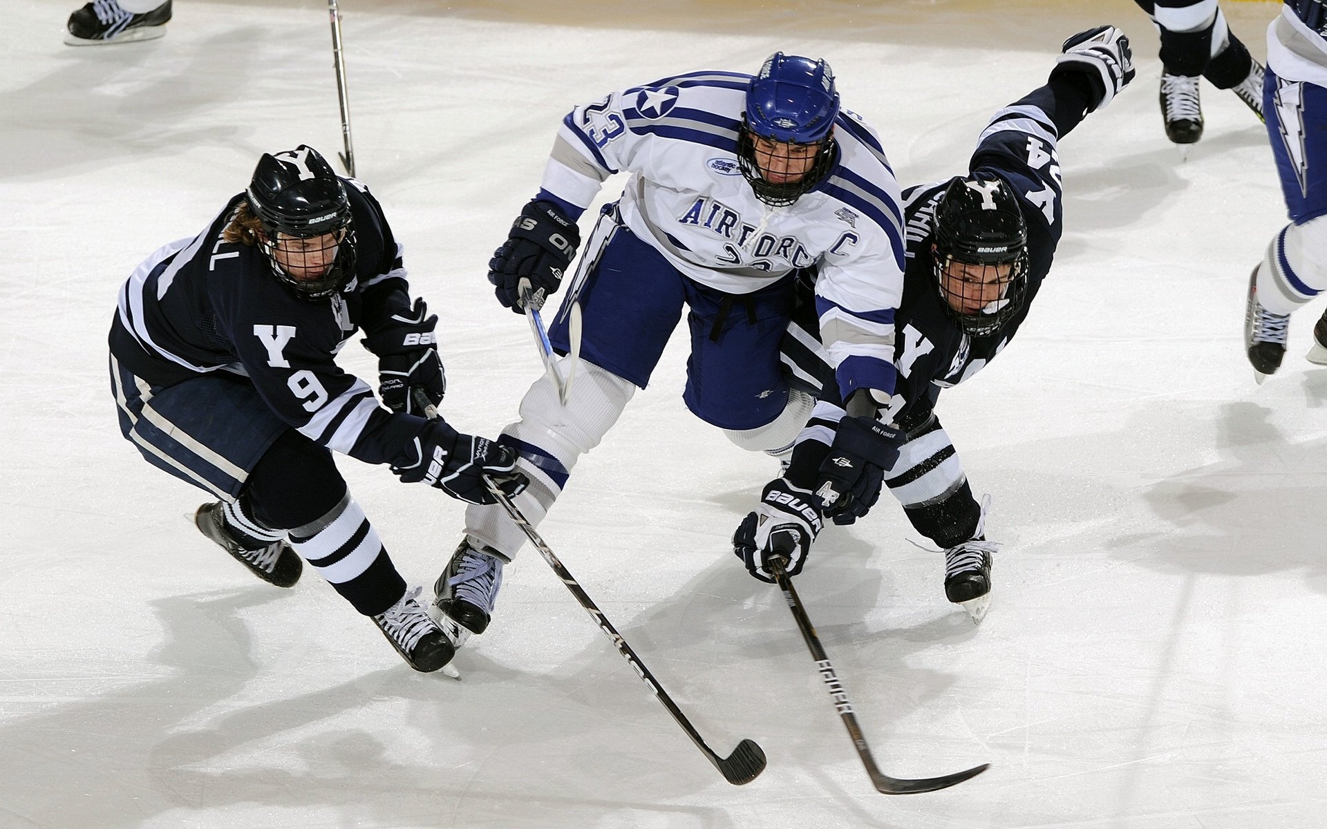 夜空下的极限飞盘，运动也可以如此浪漫，极限飞盘术语